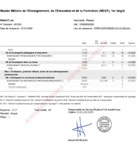 Diplôme de Master 1 MEEF de Léa Rigaut